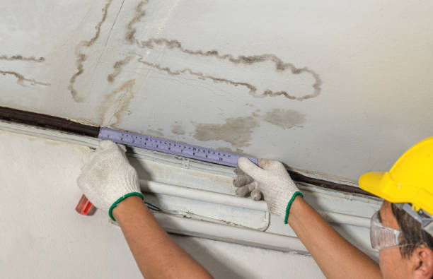 Affordable Ceiling Water Damage Repair solutions in Norwich, OH
